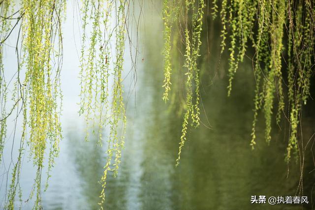 春天在哪里儿歌原唱，春天在哪里儿歌简谱