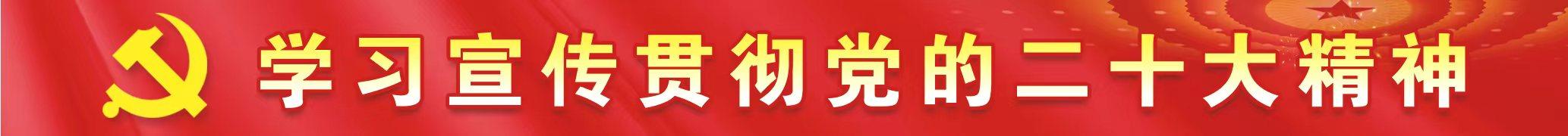 述学，述学研究？